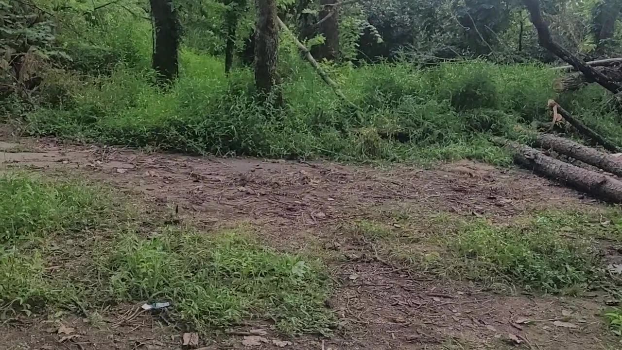 Trail Blocked 🚫 2