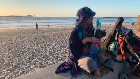 Dog Hippie Hippy Fun Funny Tie Die Beach Bubbles dog