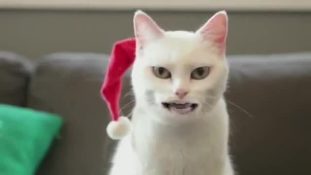 Best Babies Funny Videos 2021 Funny Baby Video Fun Unlimited