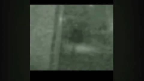 Scary dogman footage