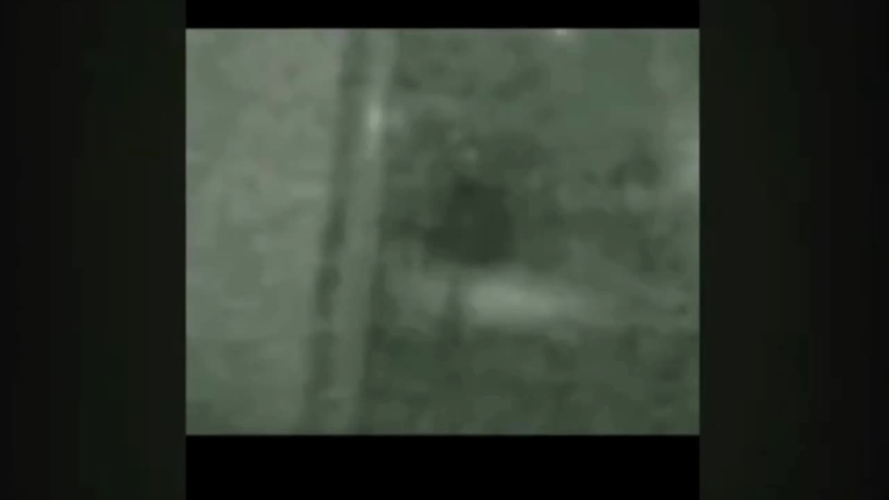 Scary dogman footage