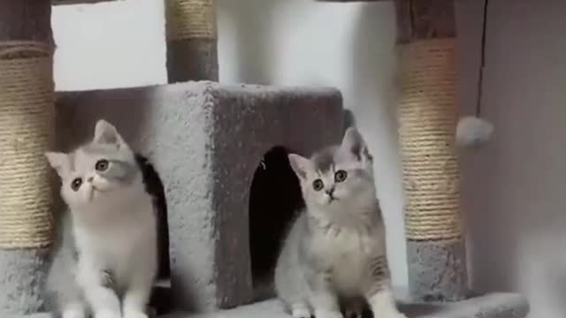 ๐ Cute Little Siblings Dancing Together๐๐
