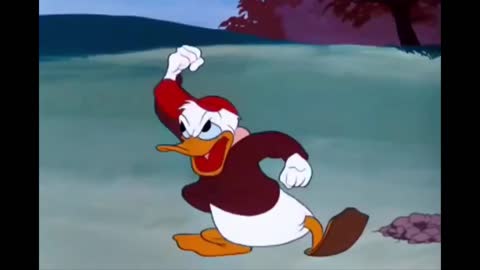 Fish the fly|Disney|Donald Duck|Mickey Mouse|Chip and Dale|Kids cartoon|Funny