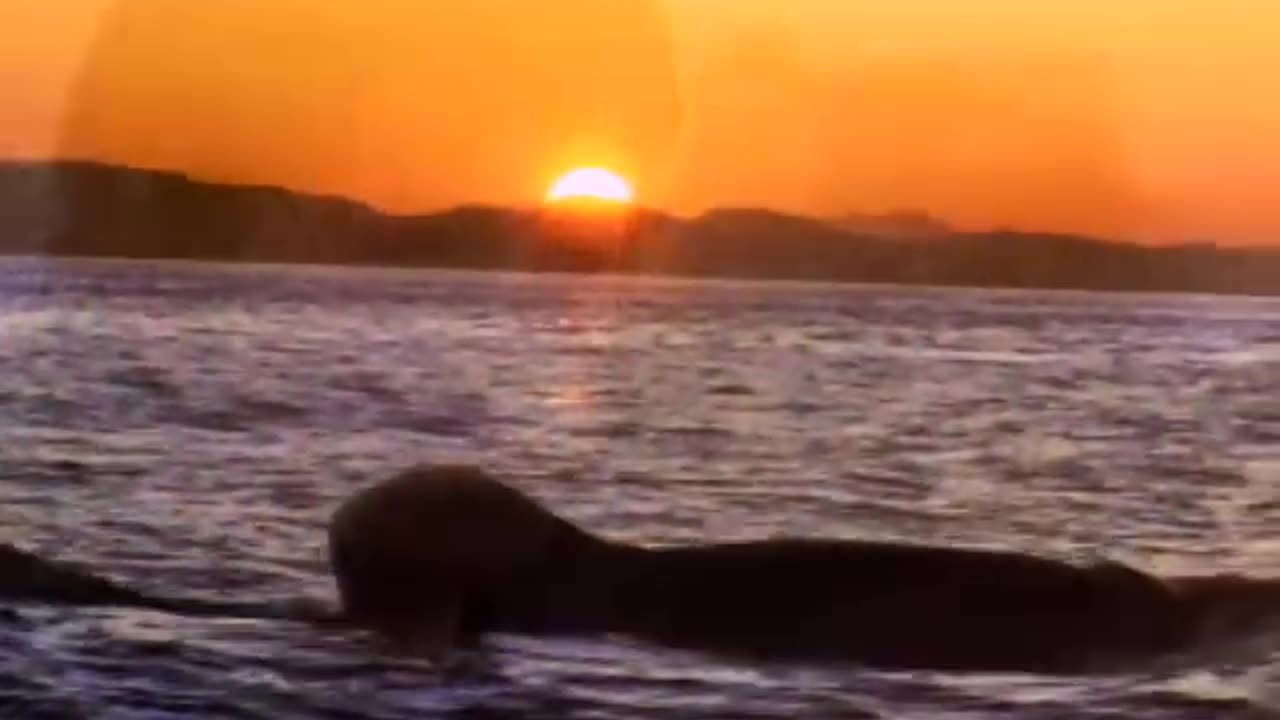 Michael Jackson - Will You Be There (Official Video)