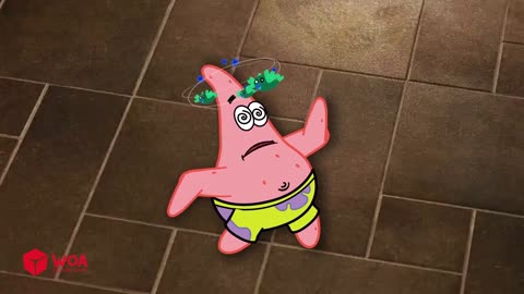 Spongebob Rides a Crazy Dog _ Funny Cats and Dogs Videos _ Woa Doodles