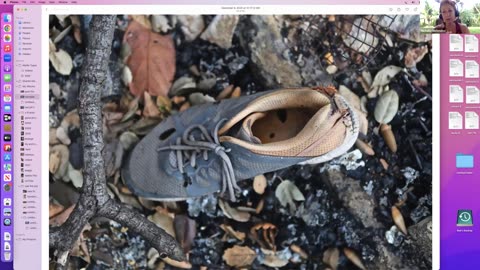 Blossominnerwellness - Arborist Visited US and Canada Fires 120x's Says, These are Not Normal