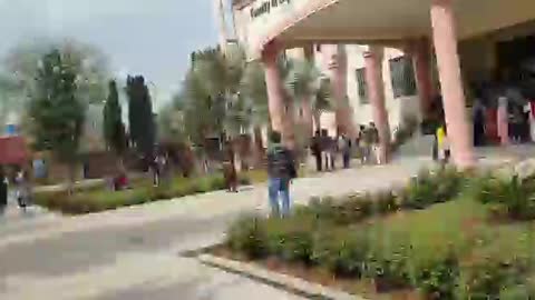 Spring festival in numl