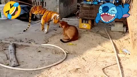 Funny videos, Prank dog & fake Lion and Fake Tiger Prank To dog | Videos Troll 2022