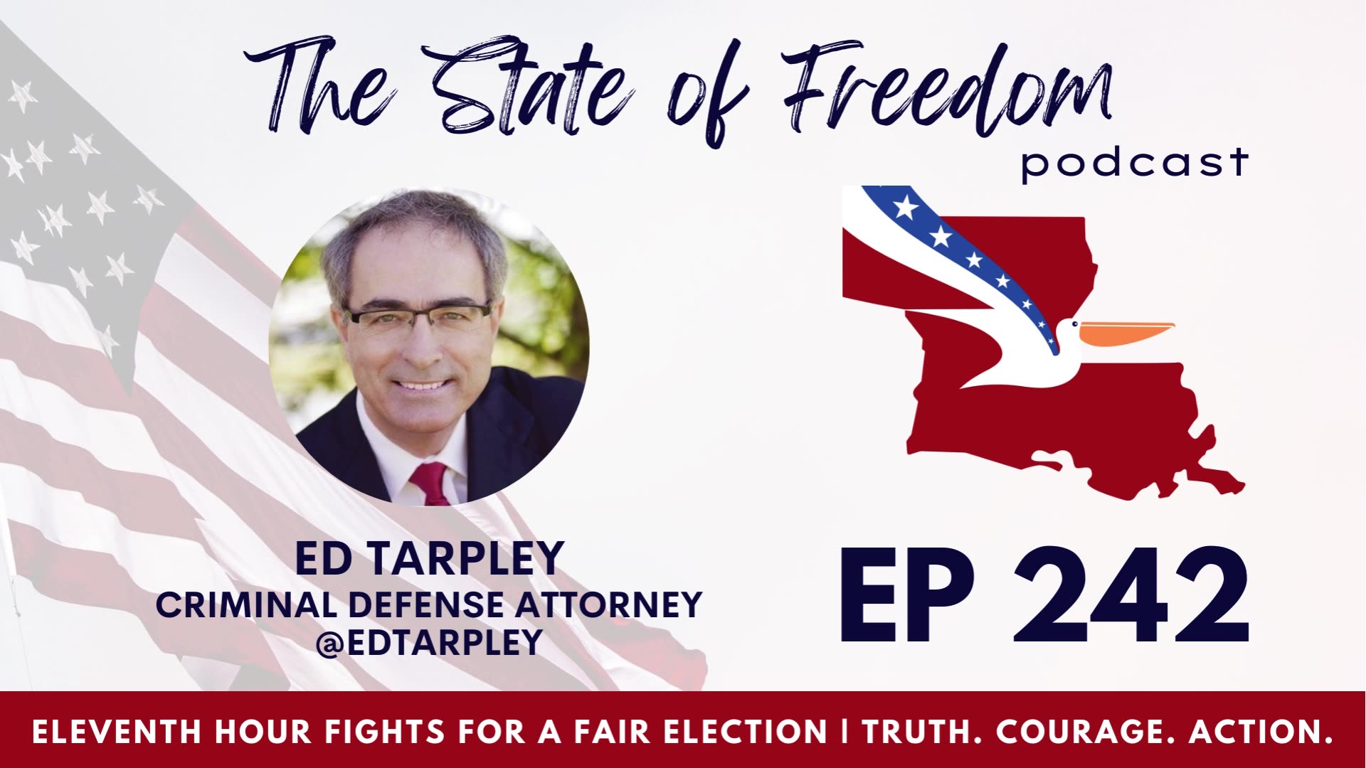 #242 Eleventh Hour Fights for a Fair Election w/ Ed Tarpley