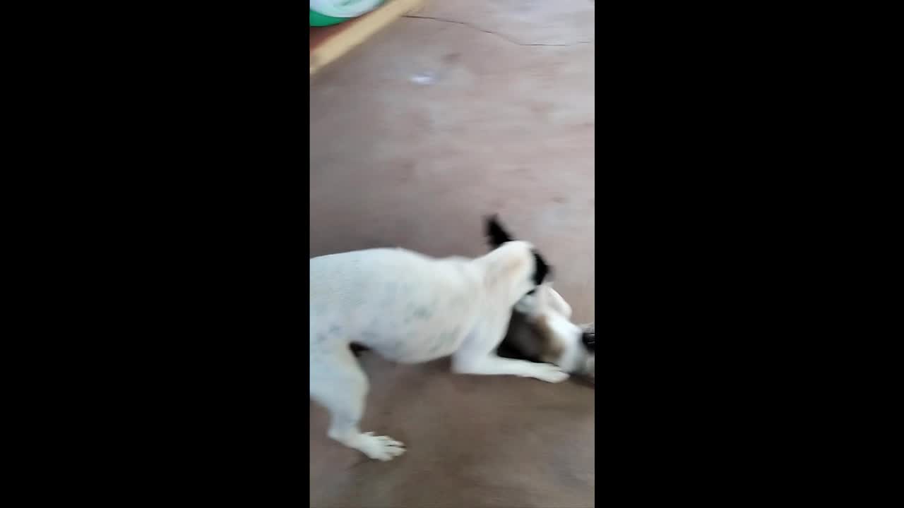 A little boy playing with Mummy