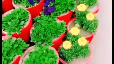 Beautiful flowers 🌷🌷🌷🌹🌹🌹🌹