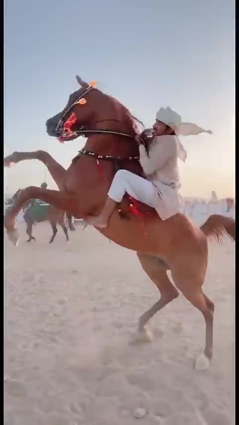 Short Animal video hours 😲 viral animal video