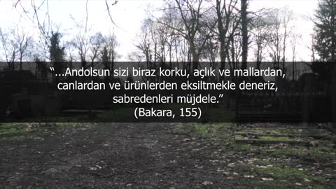 İmtihan Dünyası