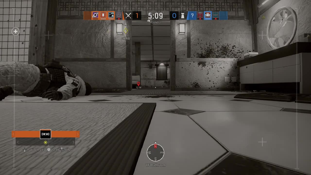 Crotch Shot