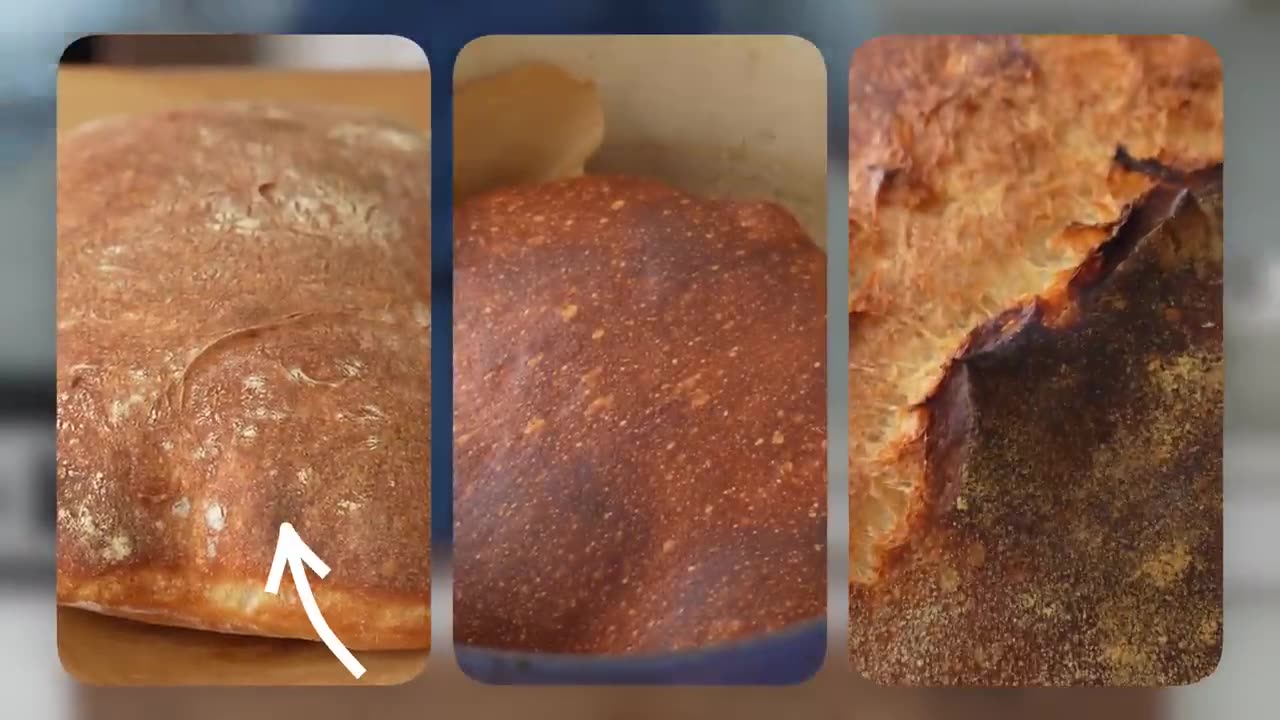 1 Dough 3 Loaves 2.0 (I Made My Best Bread Recipe Even Easier)