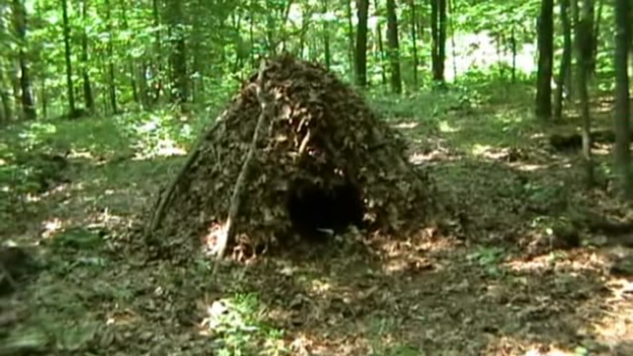 PRIMITIVE SURVIVAL, Basic DEBRIS HUT Snug Cold Weather Leaf Shelter