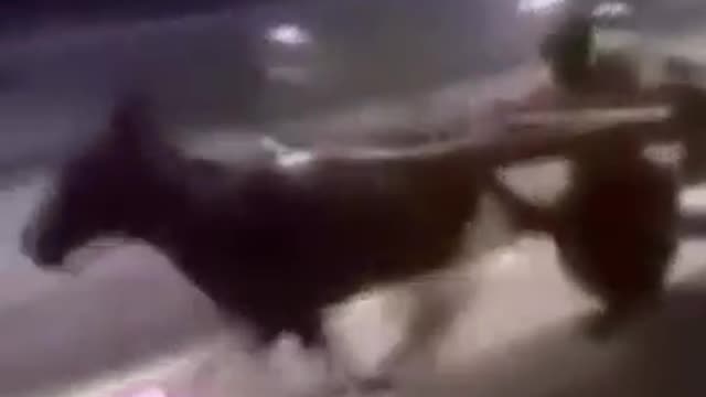 here 's a joke . stoned ass