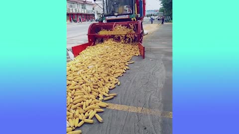 Oddly Satisfying Video to Make you Sleepy