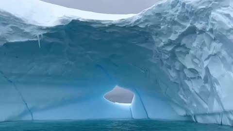 The eye of Antarctica #shorts #antarctica #nature