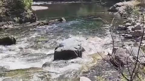 Gold Creek Tour - My slice of heaven which holds some nice gold