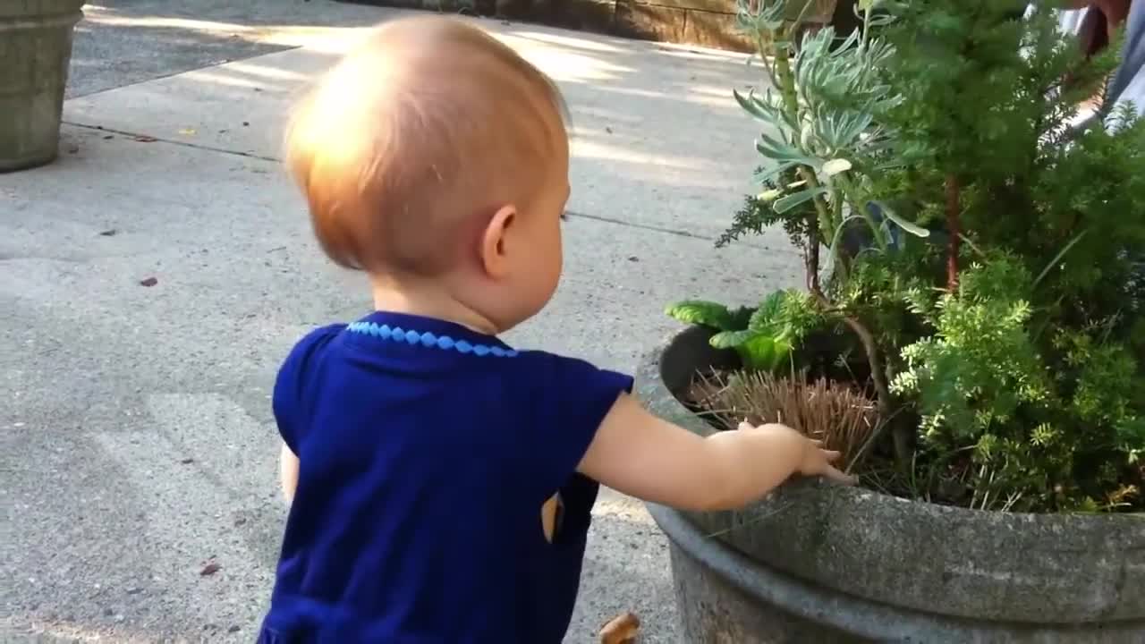 Baby funny moments II Baby funny video
