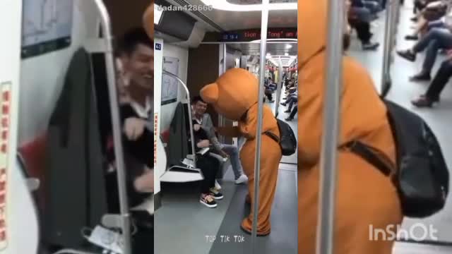 Panda funny videos