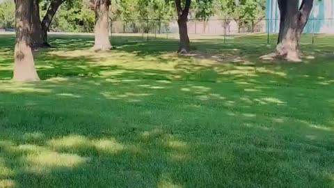 Chilling outdoor