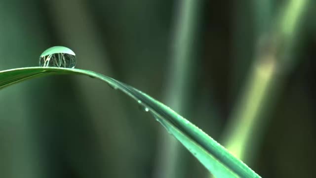 4k video 30 sec -BEAUTY OF WORLD