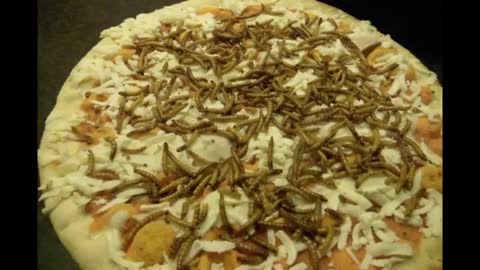 Primary School Making INSECT PIZZA / Hugo Talks