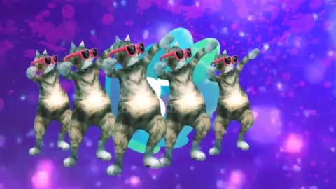 Cute cat dance