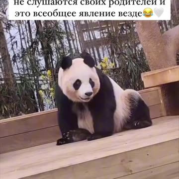 Kids disobeying parents is a universal phenomenon