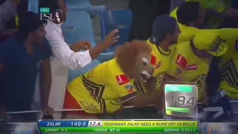 Mai zalmi hun peshawar ka