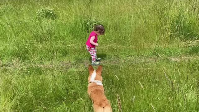 Puppies and Toddlers, life’s most precious moments ❤️