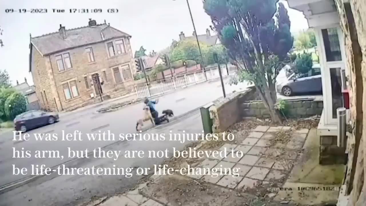 "😱 Man Dragged into Road as He Fights Off 🐕 Vicious Dog Attack!"