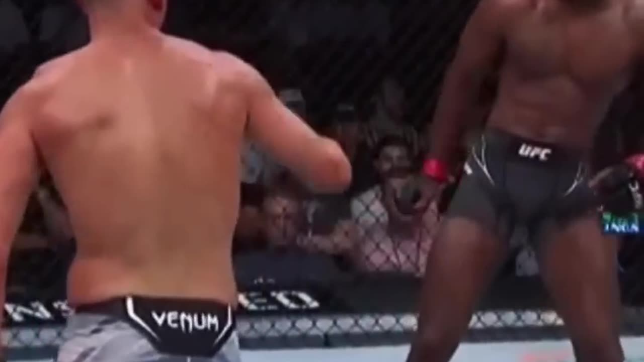 UFC - Punch & Slap combo