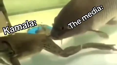 The Media After The Debate