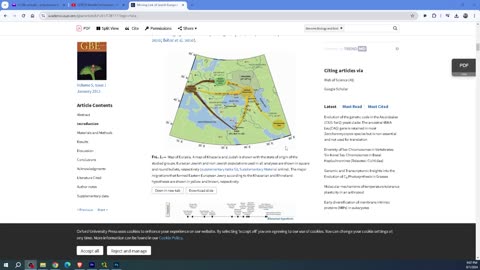 NA CZYM POLEGA NIENAWIŚĆ DO BYDŁA (NAS/GOJÓW)