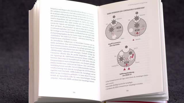 Respiratorische Erkrankungen Prävention