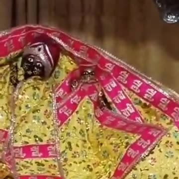 Radha Rani Darsan #Live