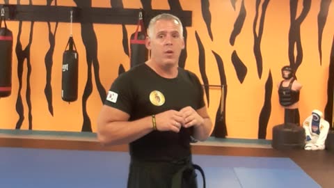 Kickboxing Techniques