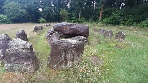 Talking Trees Reveal Relation with Ancient Site