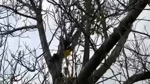 Civilizația rurală in extincție (2)