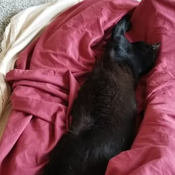 20240613 072400 Tux Relaxed, Finally