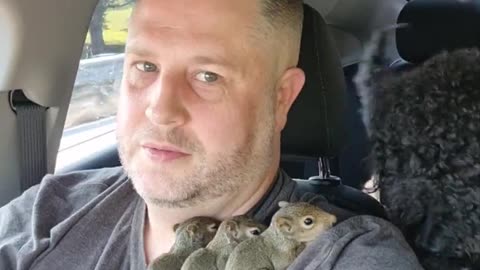 Baby Squirrels Rescued After Losing Their Home