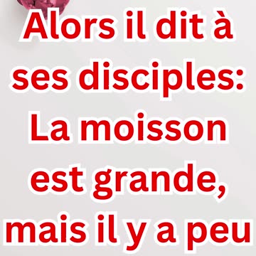 "Les Ouvriers de la Moisson Sont Peu Nombreux" Matthieu 9:37,38.#shorts #youtube #yt #ytshortsindia