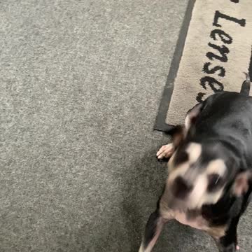 Cookie time with Chester’s sister