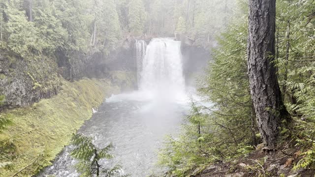 Look at that EPIC View Around the Corner..... – Sahalie Falls & Koosah Falls Loop – 4K