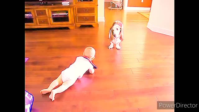 Baby & dog Funny moment watch and enjoy video