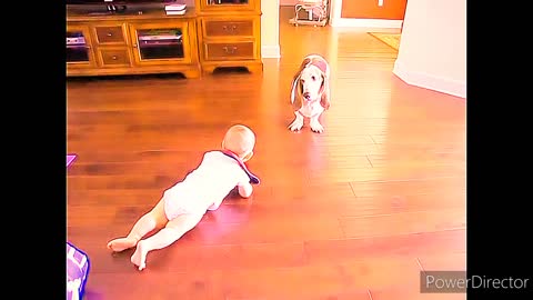 Baby & dog Funny moment watch and enjoy video