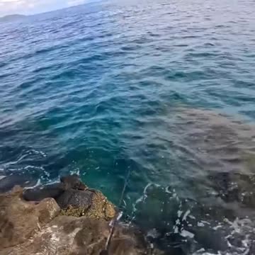 #CavyFishing #fishingsecretsnw